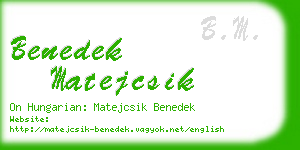 benedek matejcsik business card